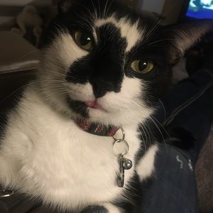 Meet your Posher, Louisa